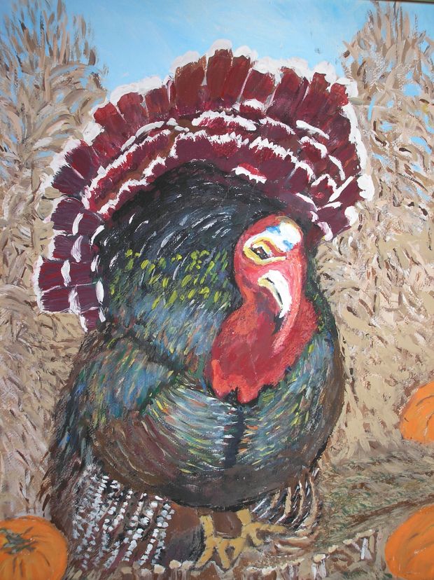Tom Turkey - AMc- 2013