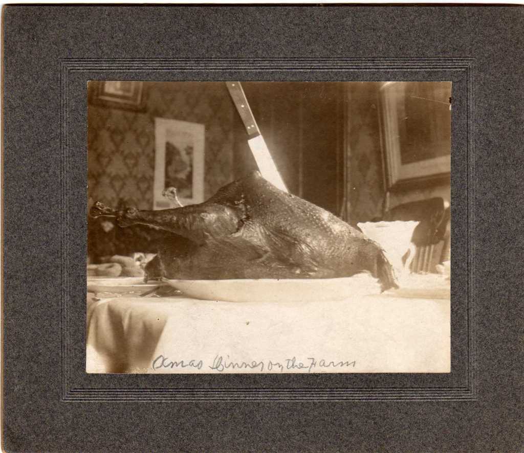 Christmas on the Farm