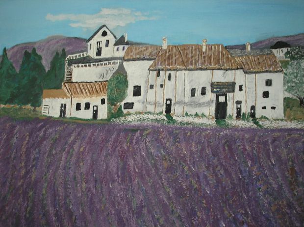 Provence Lavender Farm - AMC - 2017