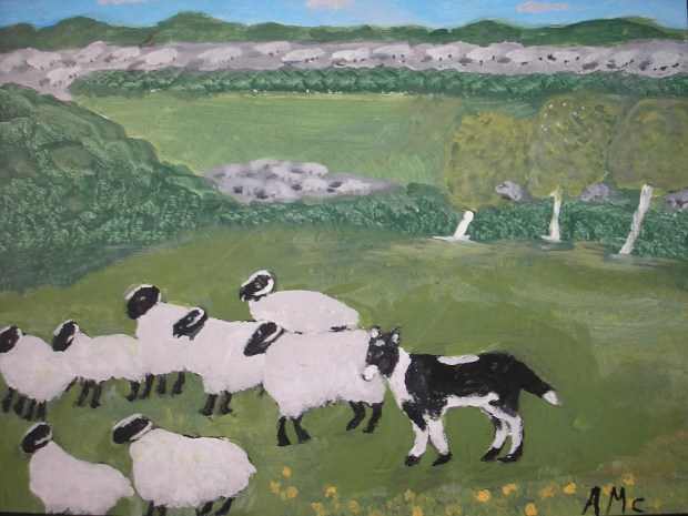 The Sheep Dog - AMc - 2017