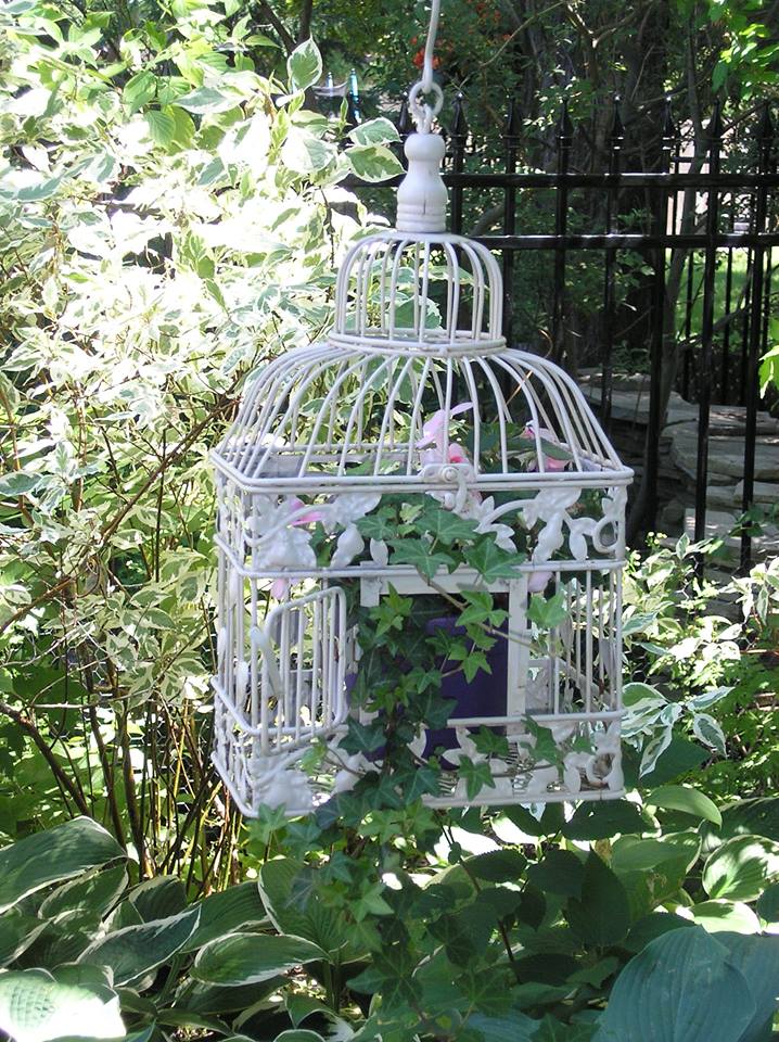 birdcage