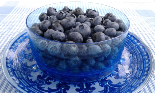 Blueberries