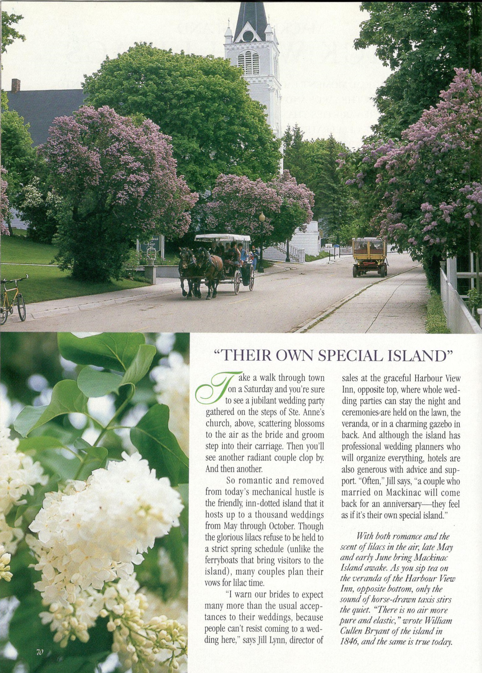 Victoria Lilacs 4 (2)