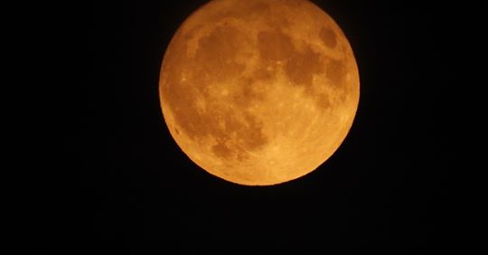 Harvest Moon  Harvestfest