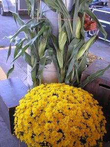 Harvestfest Decorations