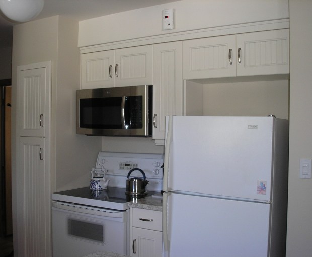 Kitchen Reno - Stove &amp; Fridge