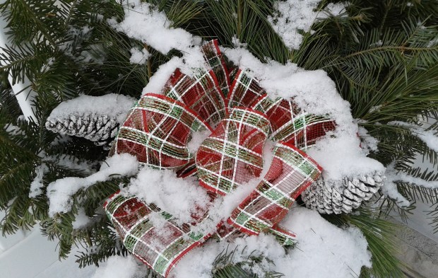 winter pine decor with plaid ribbon