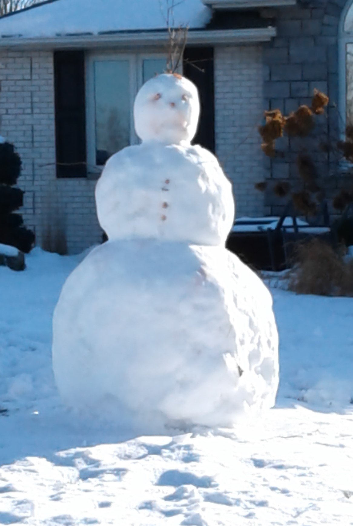 Snowman