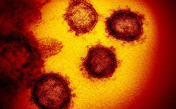 Coronavirus   COVID-19