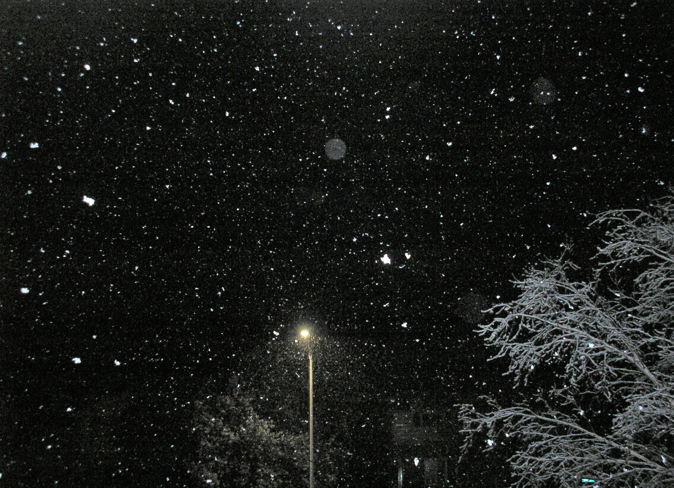 May snowfall - starry starry night