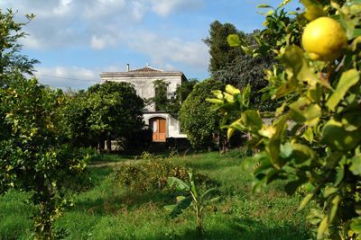 Italian castle with lemon grove