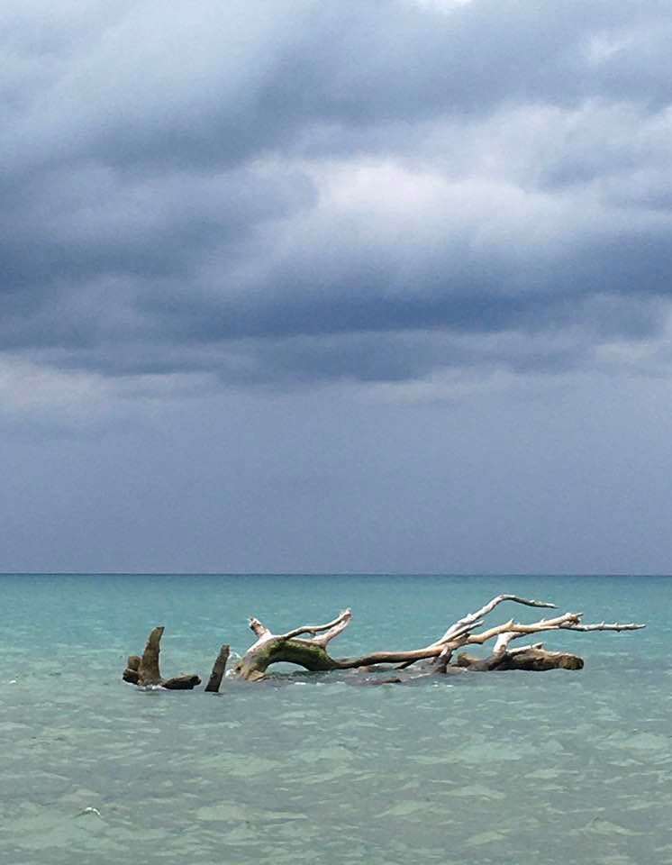 storm shelf cloud - EJ two
