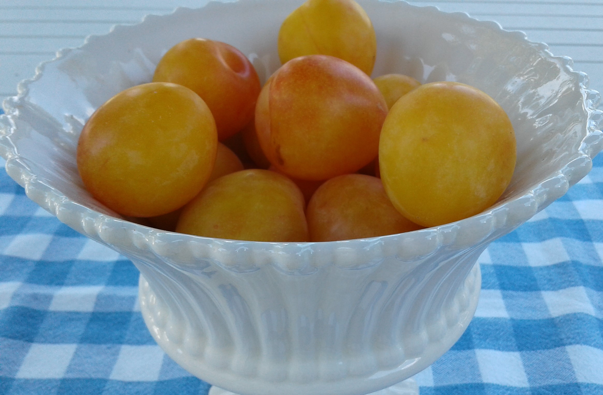 Plums yellow