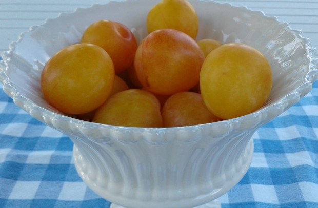 Plums yellow
