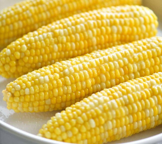 corn on the cob